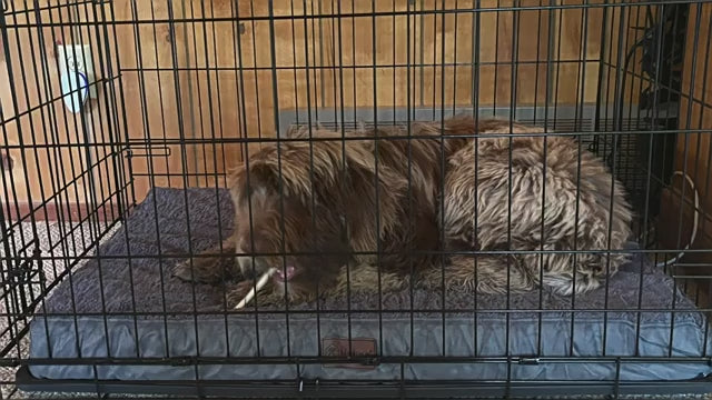 Waterproof Egg-Crate Foam Orthopedic Dog Beds for Crate